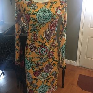 Lularoe Debby dress with roses